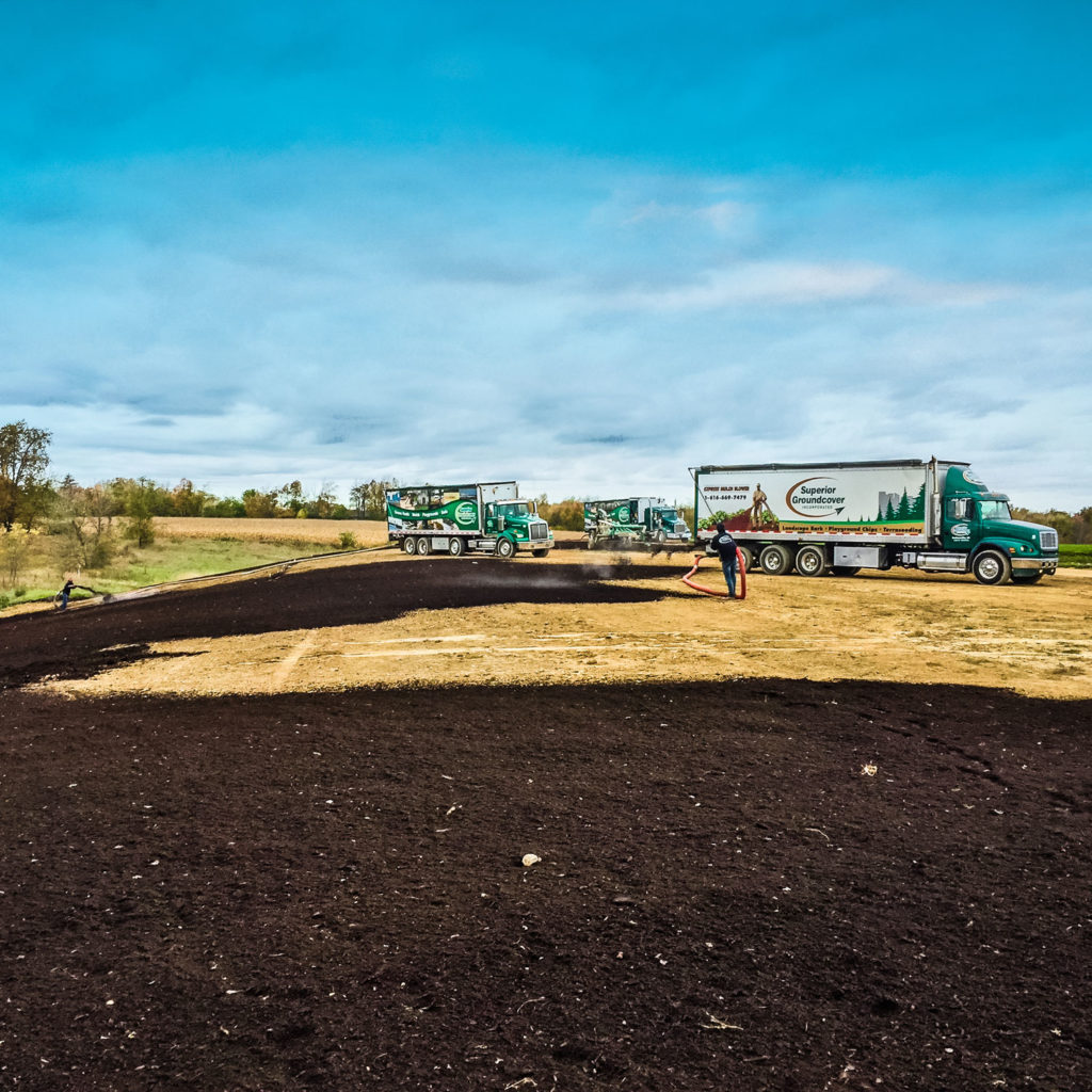 compost & seed installation