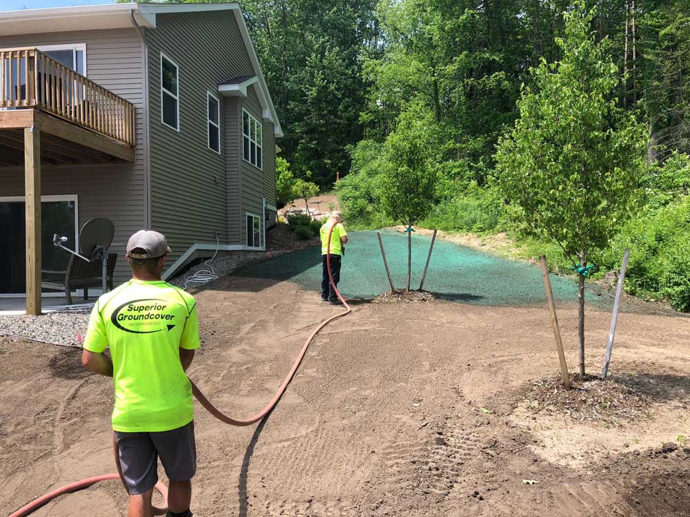 hydroseeding contractor