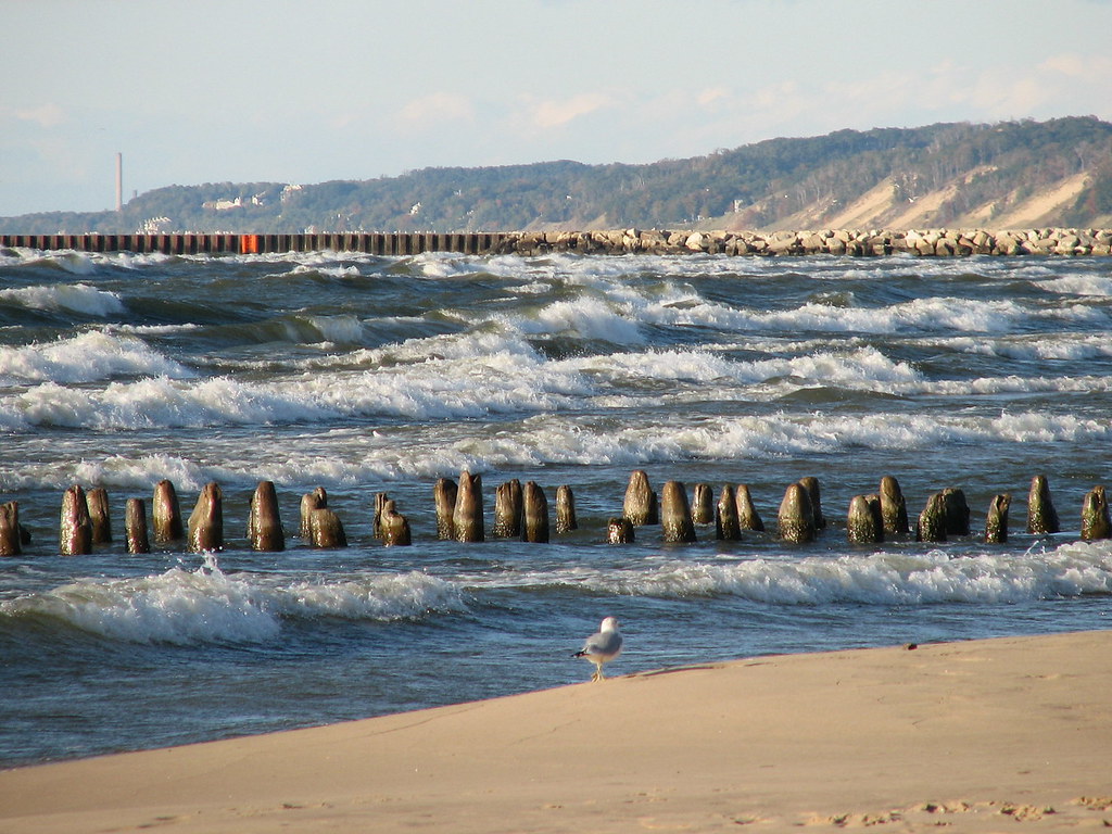 shoreline erosion