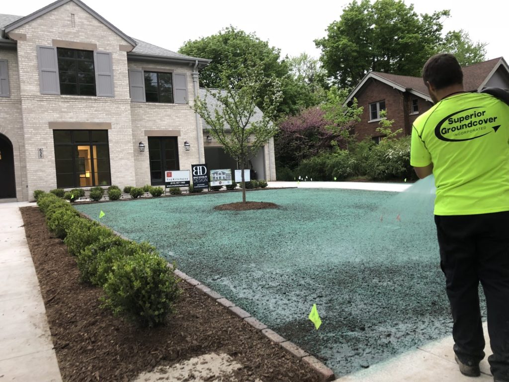 Hydroseeding a front lawn