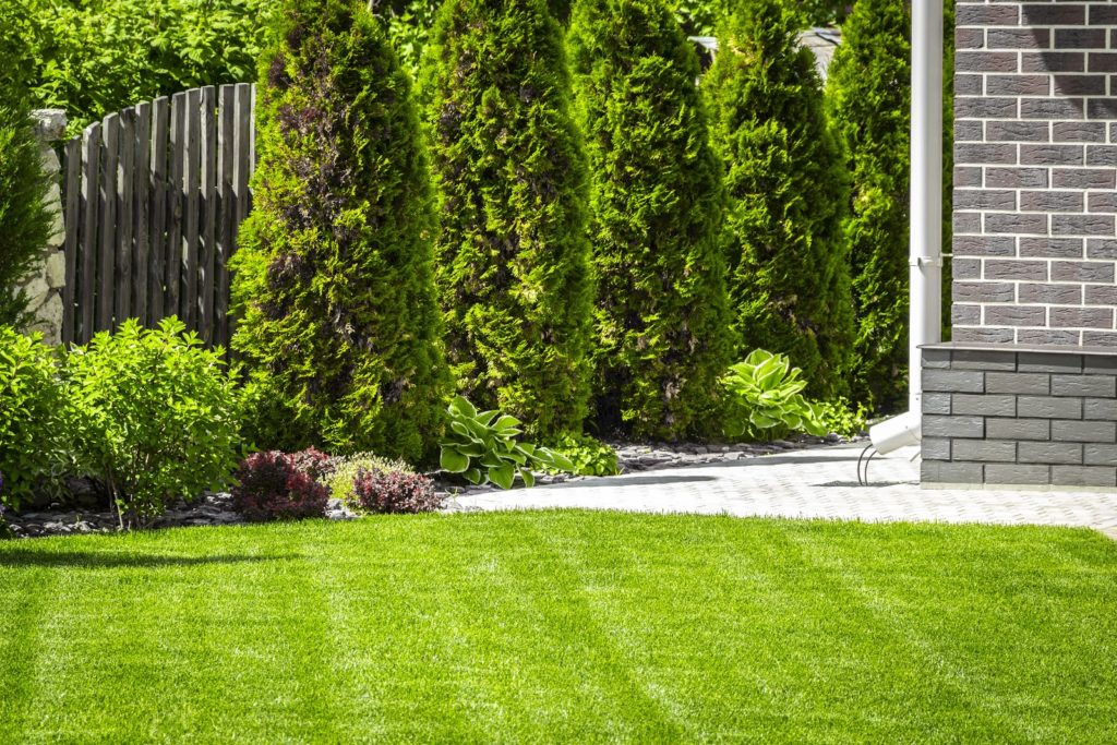 Beautiful evenly trimmed lawn in the backyard of a private house.