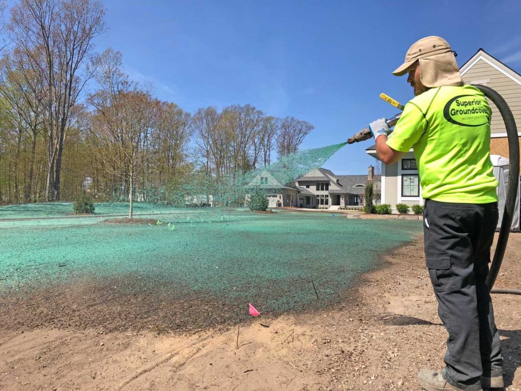 Hydroseeding Vs Laying Sod - Superior Ground Cover