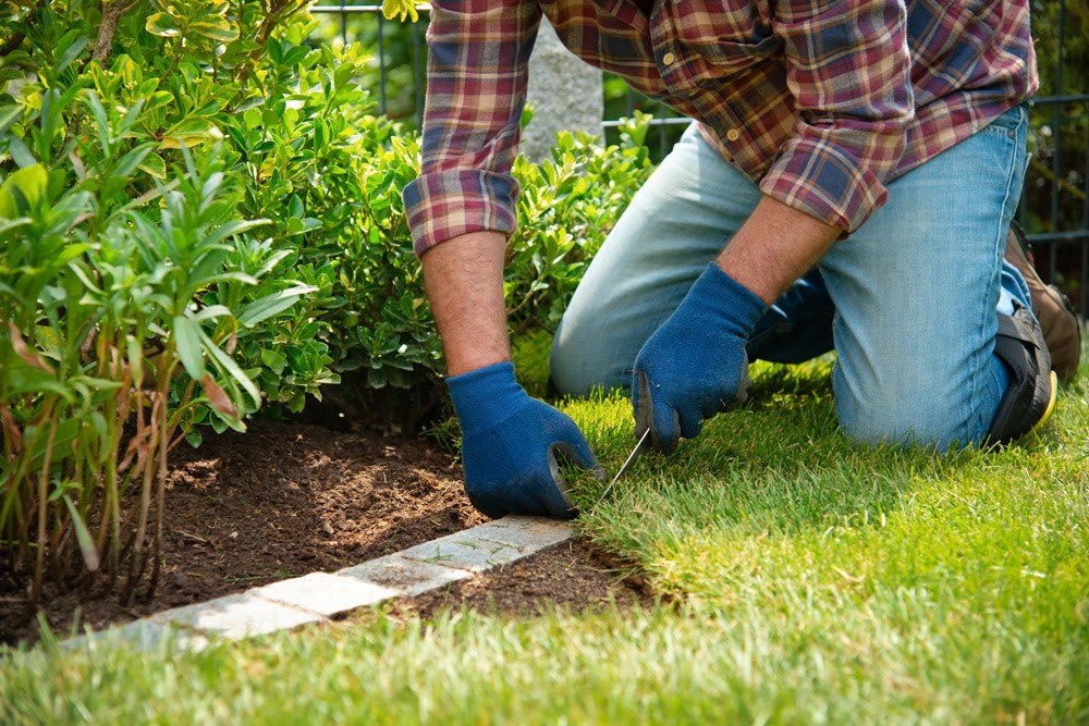 laying sod around a garden edge