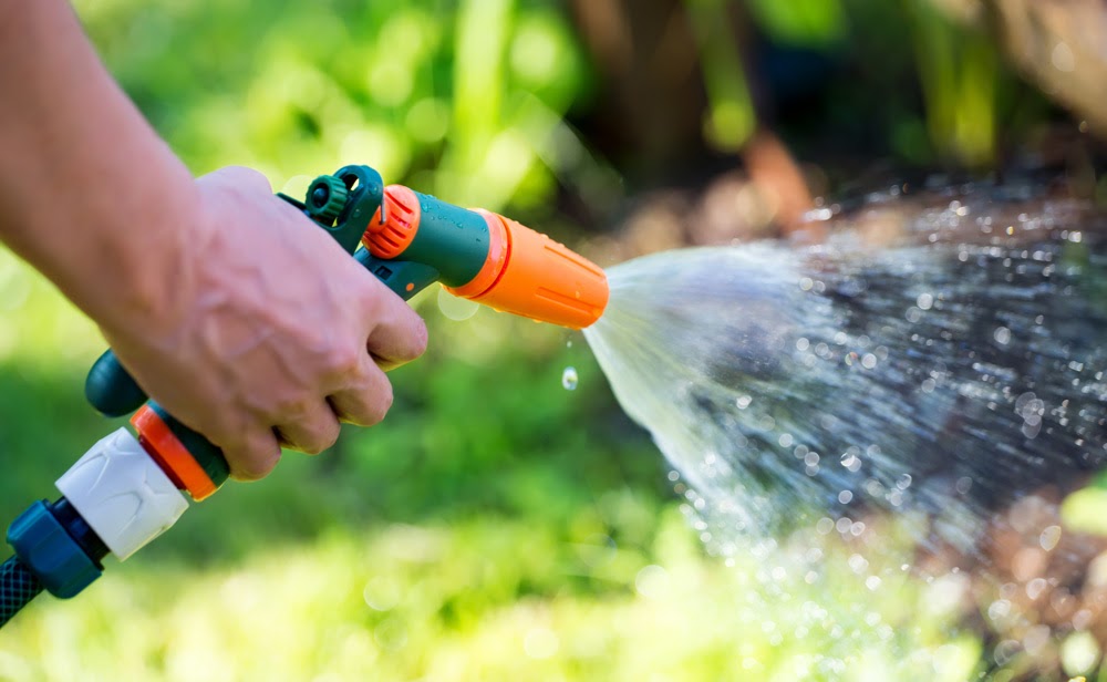 watering a lawn