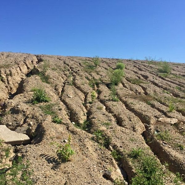 Erosion Control on Steep Slopes and Embankments - Denbow