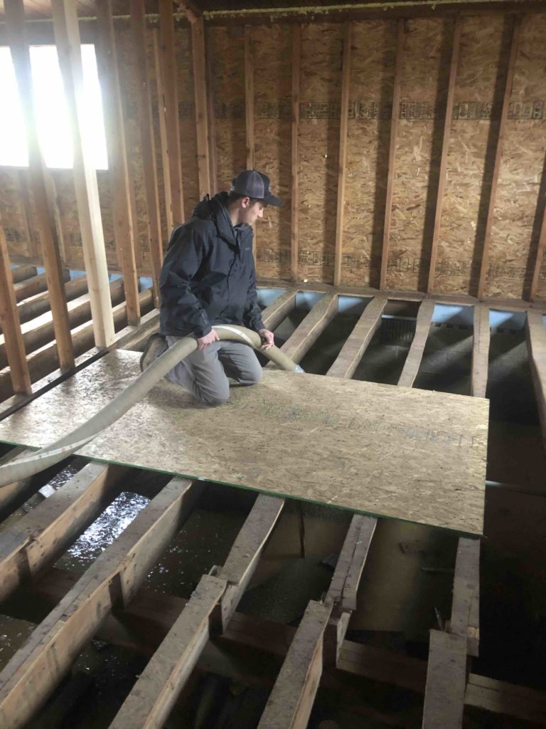 person providing crawl space encapsulation services