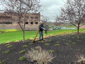 Landscaping Mulch