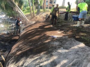 stream bank erosion control