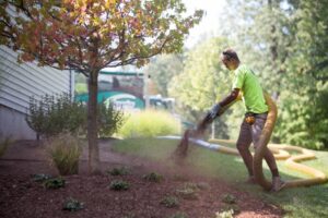 Material Placement Mulch