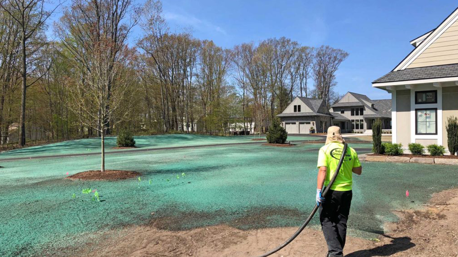 Hydroseed Success: Weed Patch to Lush, Green Lawn