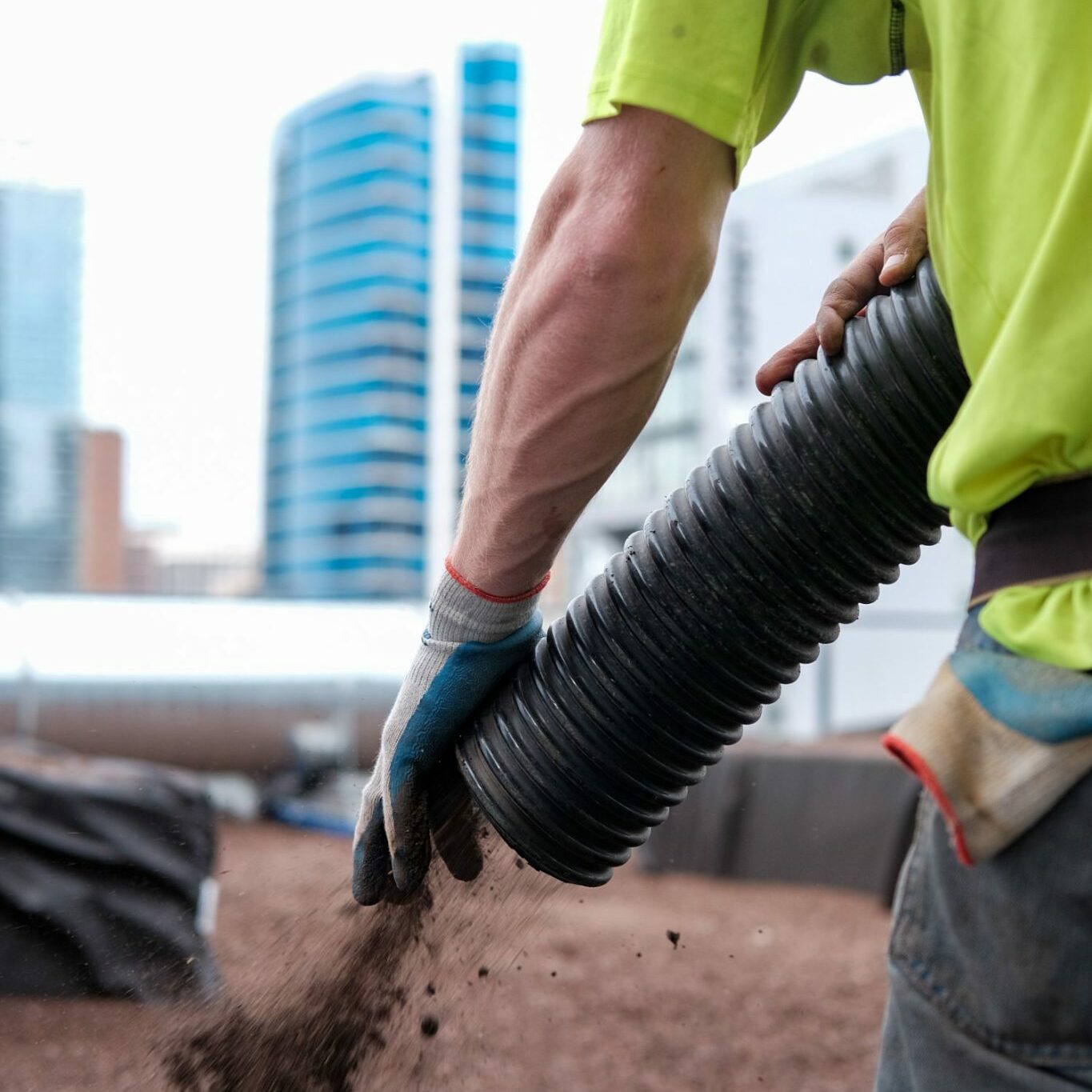 green roof blowing mulch