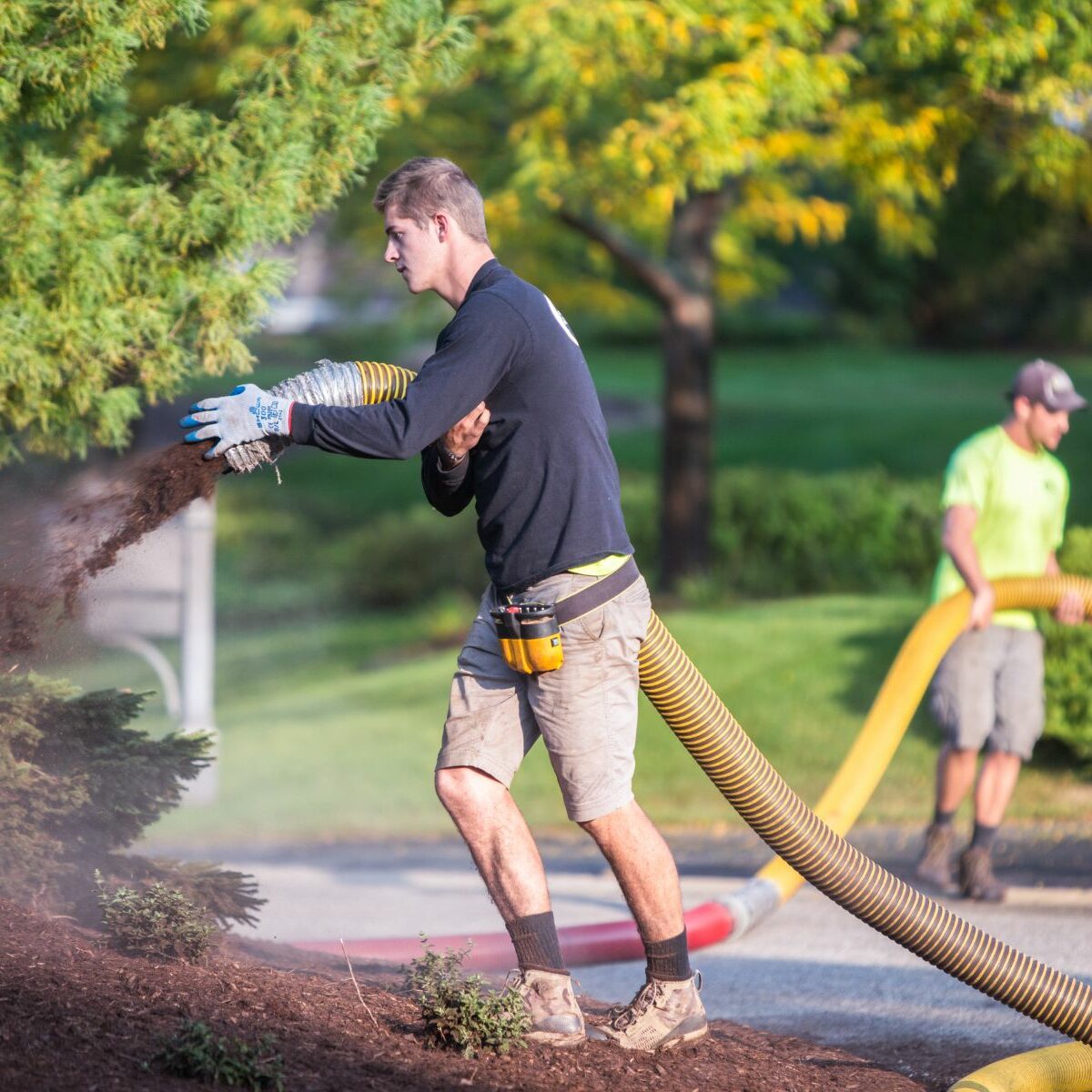 landscape mulch