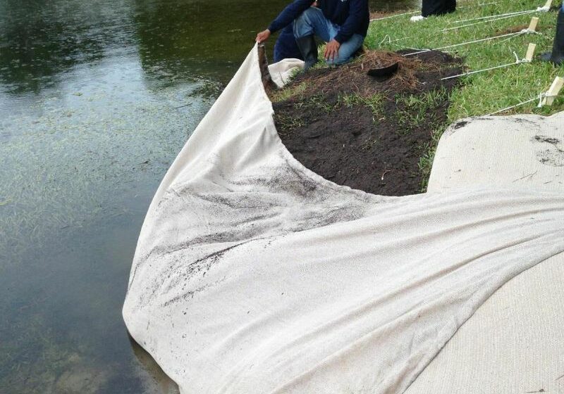 Lake Bank Erosion