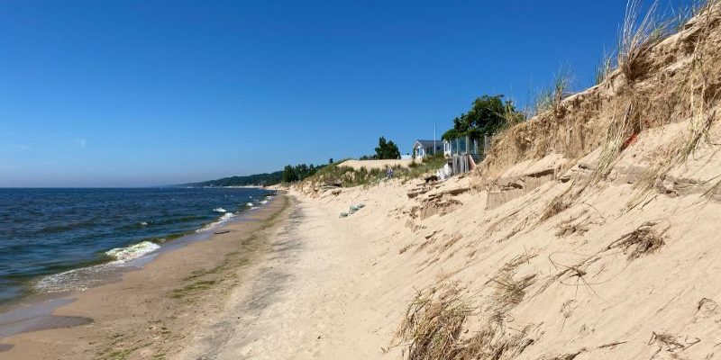 Dune Restoration