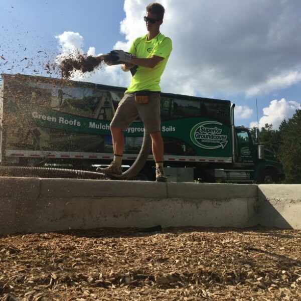 Playground Mulch