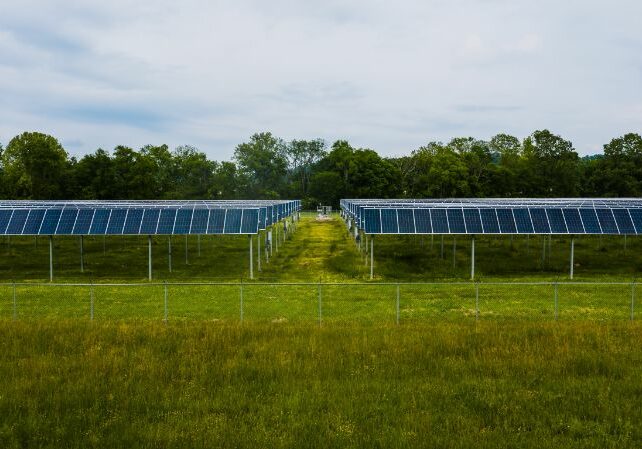 Solar Farm