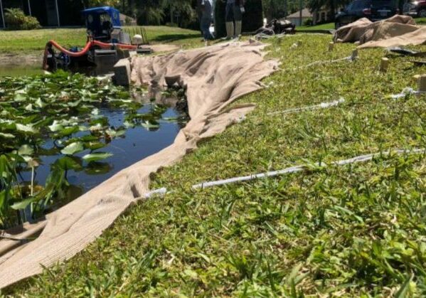 stream bank erosion control