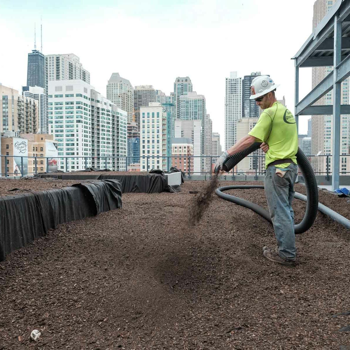 green-roof-top